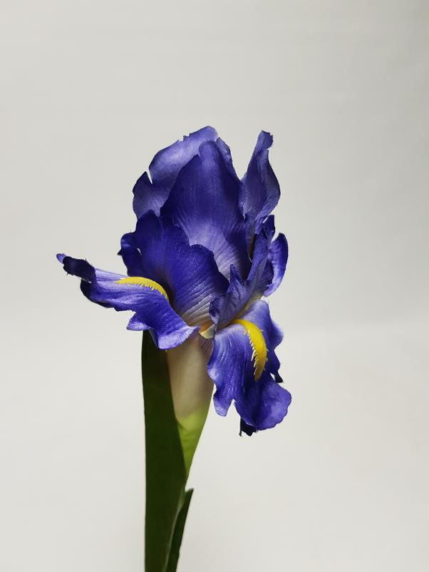 Artificial Iris Stem Purple 70cm Desflora