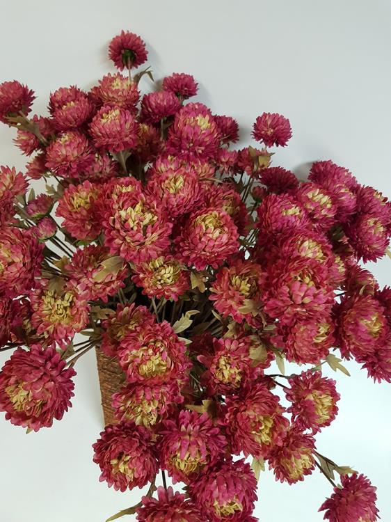 DryLook Chrysanthemum Plum Desflora