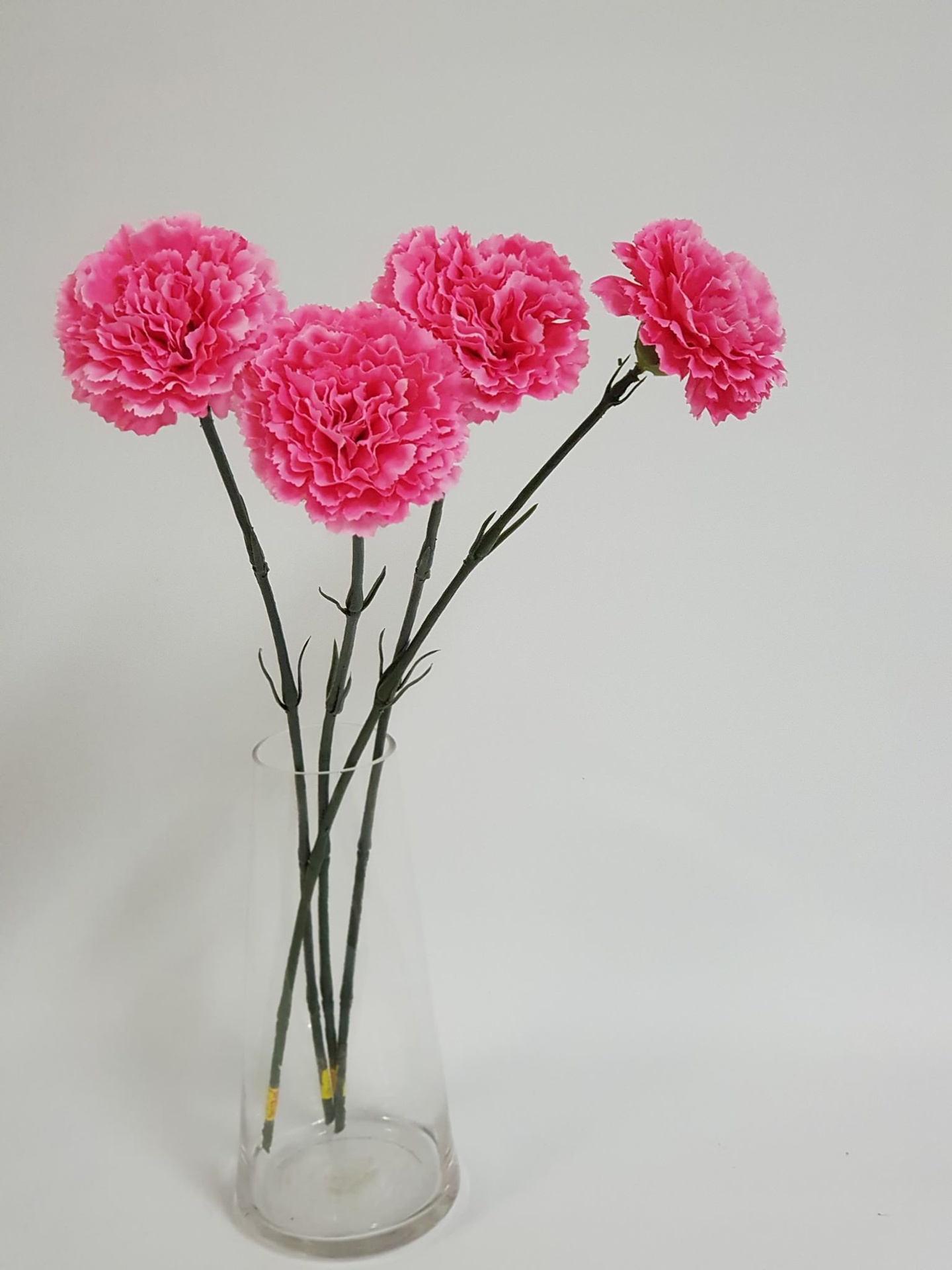 Pink Carnation Stem Desflora