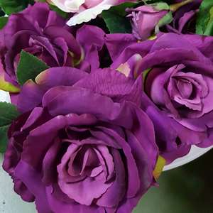 purple rose