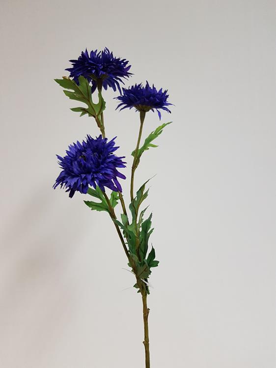 Artificial Straw Flower Royal Blue 70cm - Desflora