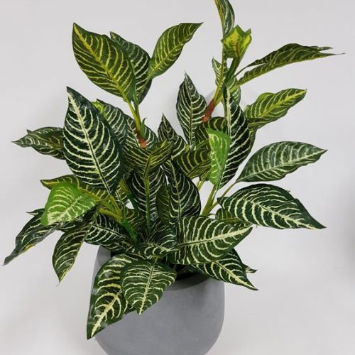 Artificial Zebra Plant Real Touch 61cm