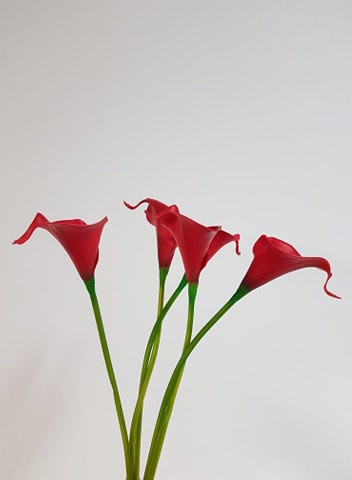 Calla Lily Red Real Touch - Desflora