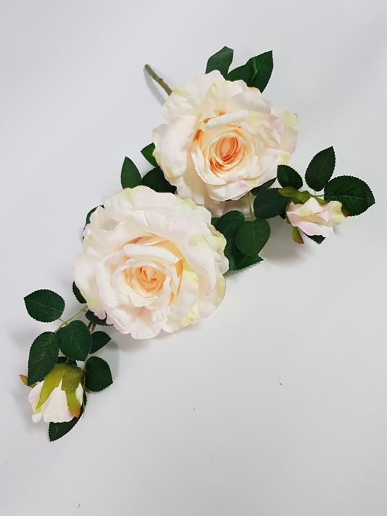 Full Bloom Rose Stem Champagne Desflora Full Bloom Rose Stem Champagne Desflora