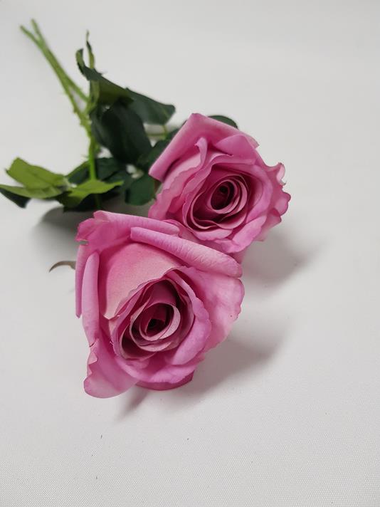Rose Evy Lilac 65cm - Desflora