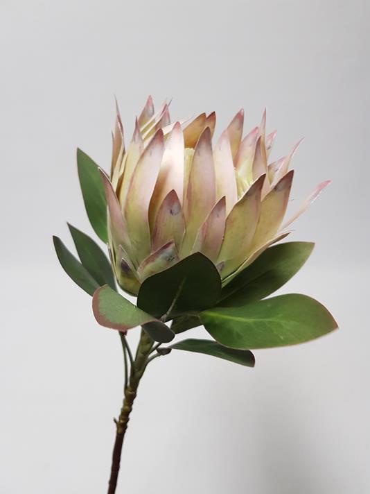 King Protea Lilac 76cm - Desflora