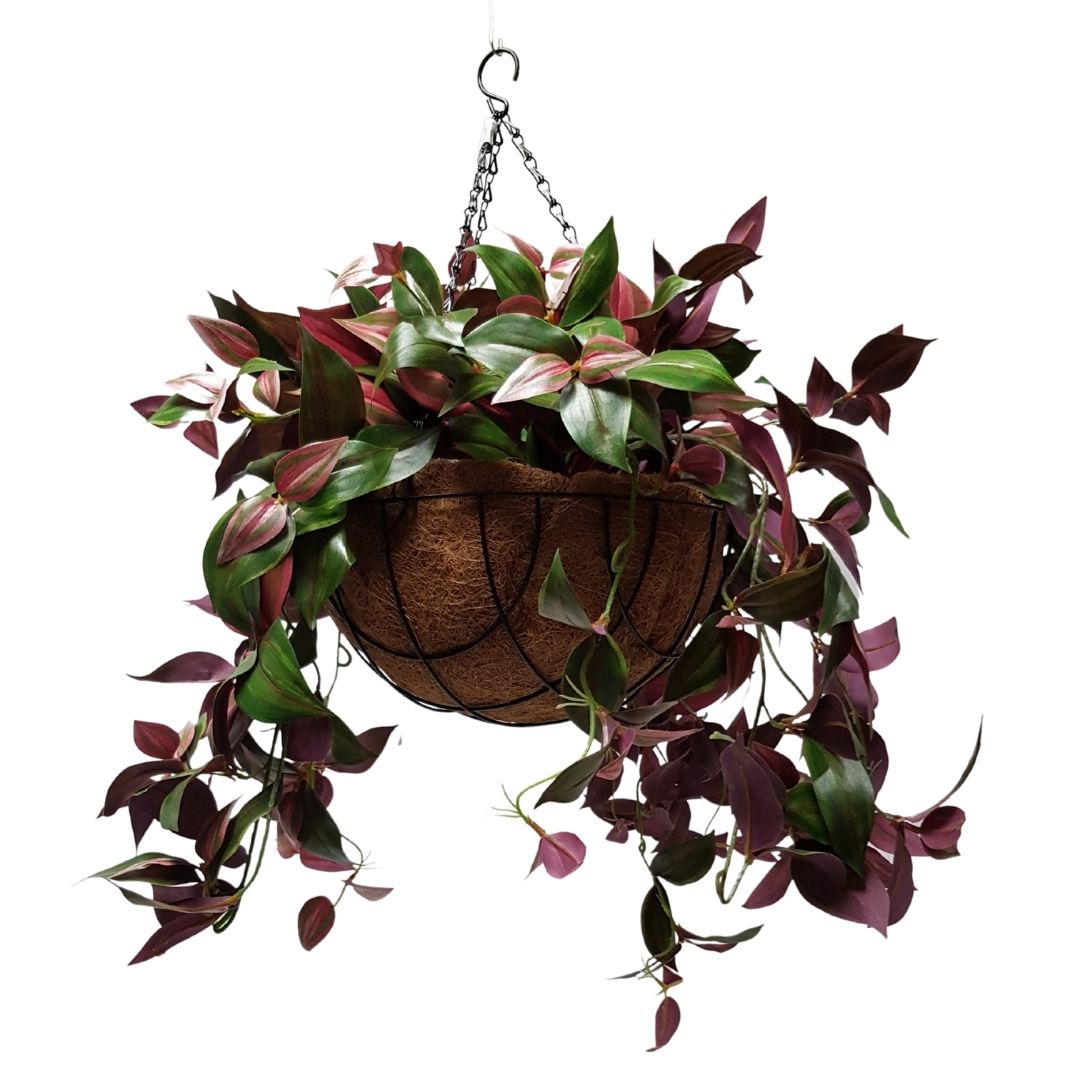 Home & Hobby Large Wandering Jew Plant Hanging Basket! Craft Supplies ...