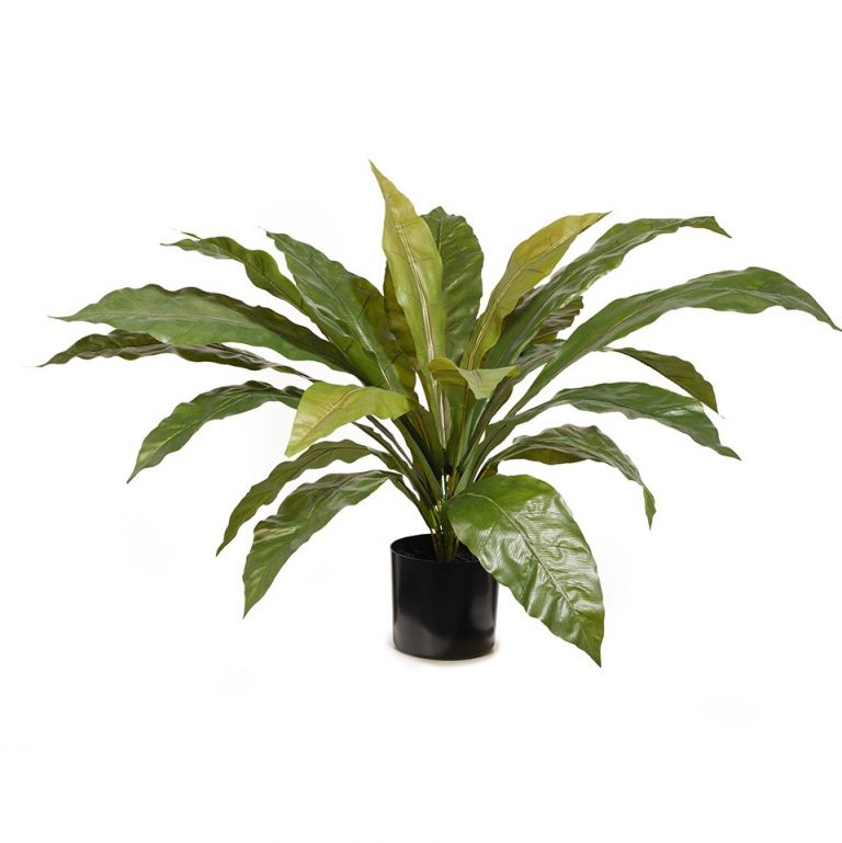 Artificial Fern Birdsnest Plant Real Touch 42cm - Desflora