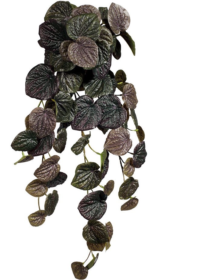 Artificial Peperomia Plant Dark Olive 61cm