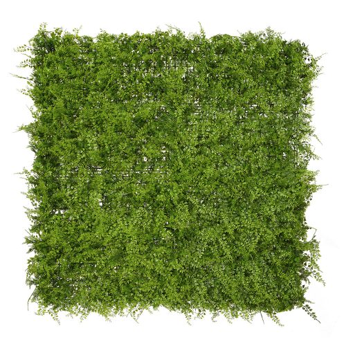 Vertical Plant Wall Fern 100cm x 100cm