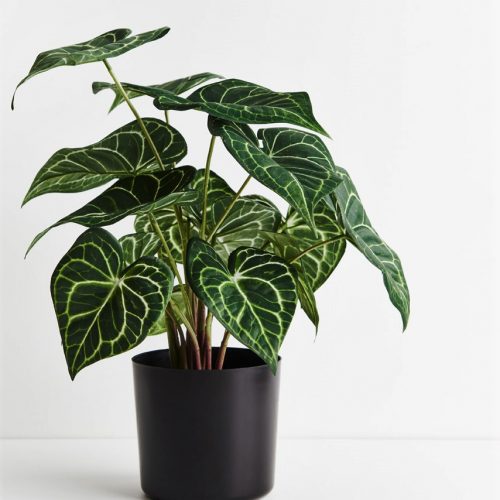 Artificial Syngonium Plant 48cm