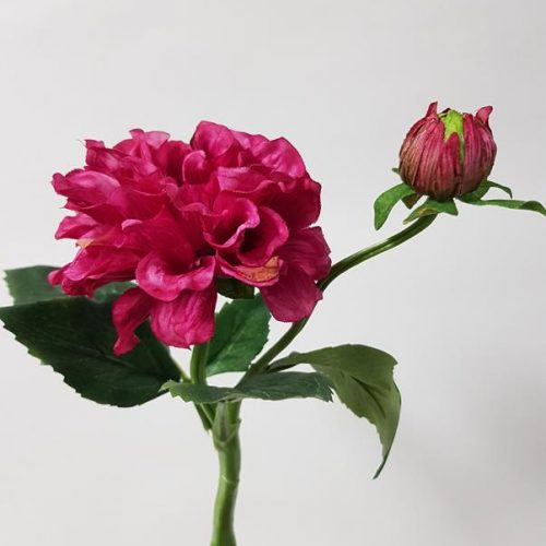 Spring Australia WideDesflora