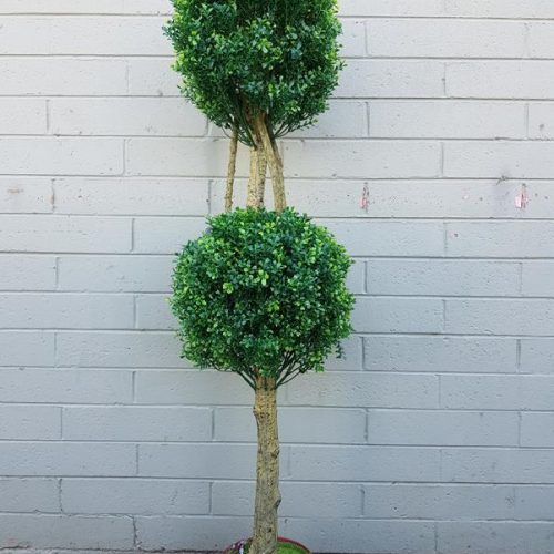 Double Topiary Tree 160cm