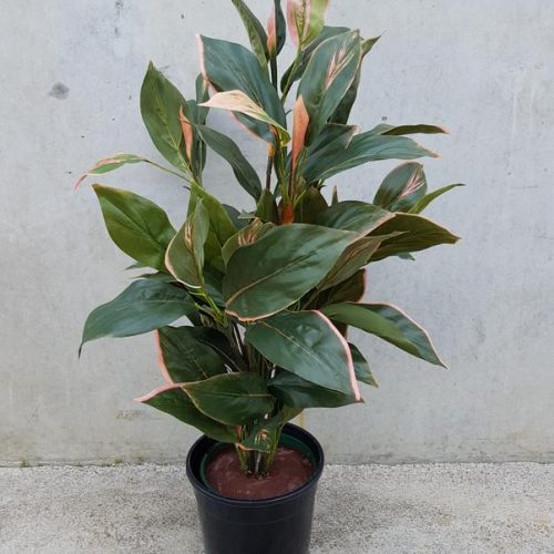 Artificial Plant (Pink Cordyline) 90cm