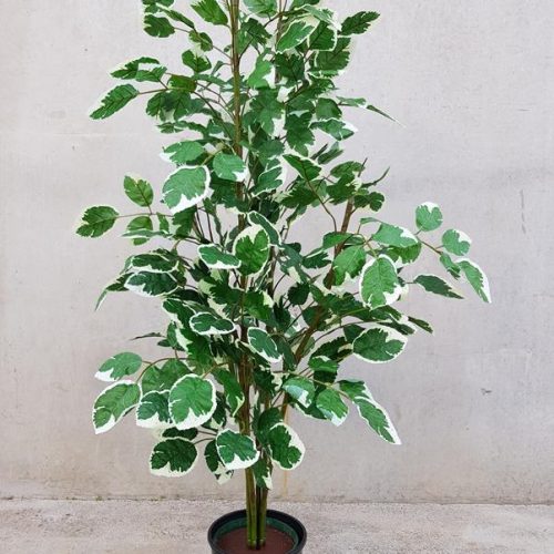 Artificial Variegated Fig Tree 140cm