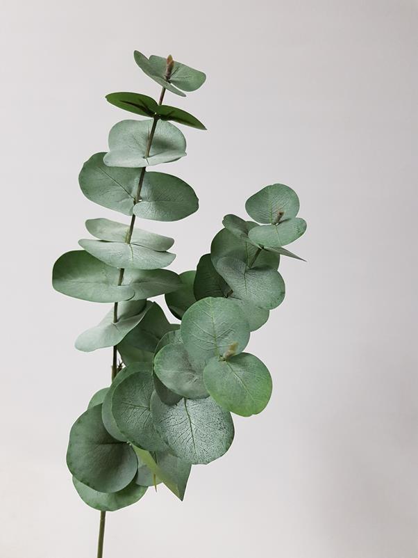 Artificial Eucalyptus Grey 63cm - Desflora
