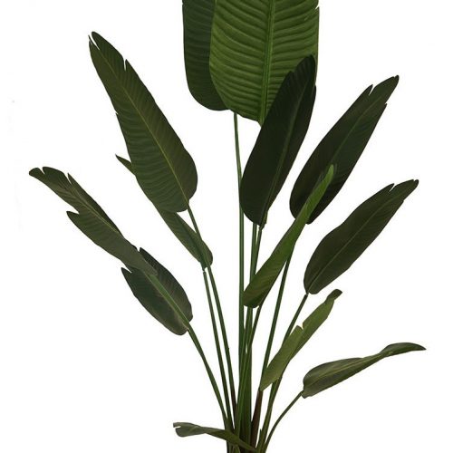 Artificial Traveller Palm 180cm