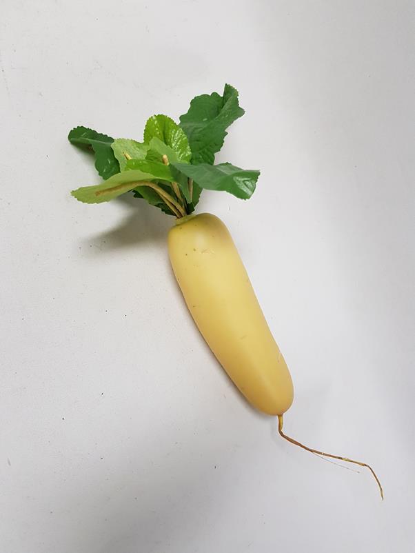 Artificial Parsnip - Image 2