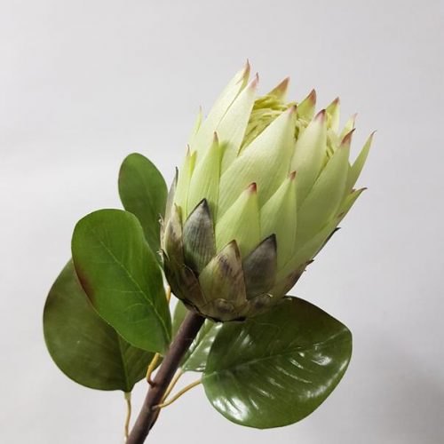 Artificial Protea 67cm Green Desflora