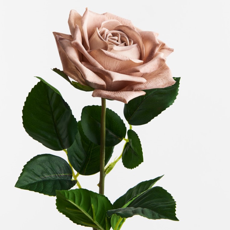 Artificial Rose Clarissa Coffee 61cm - Desflora