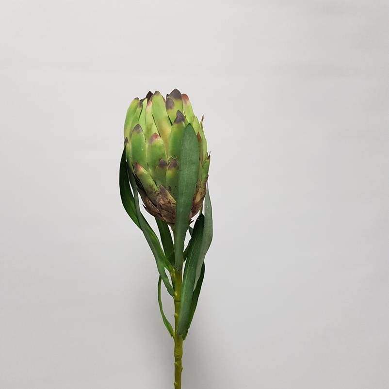 Pia Top Queen Protea
