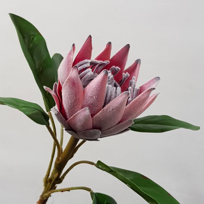 Artificial Protea Australis Dusty Red 52cm Desflora