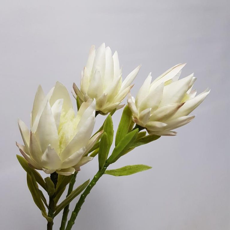 Artificial Protea Magnifica White 40cm Desflora