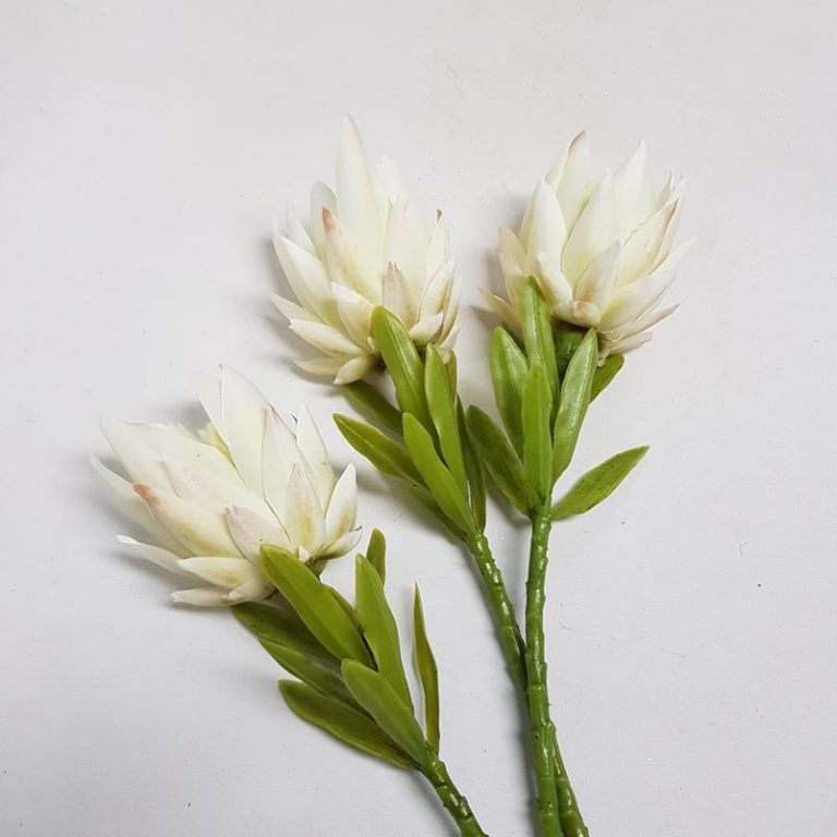 Artificial Protea Magnifica White 40cm Desflora