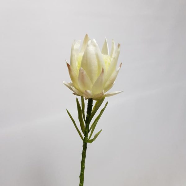 Artificial Protea Magnifica White 40cm Desflora