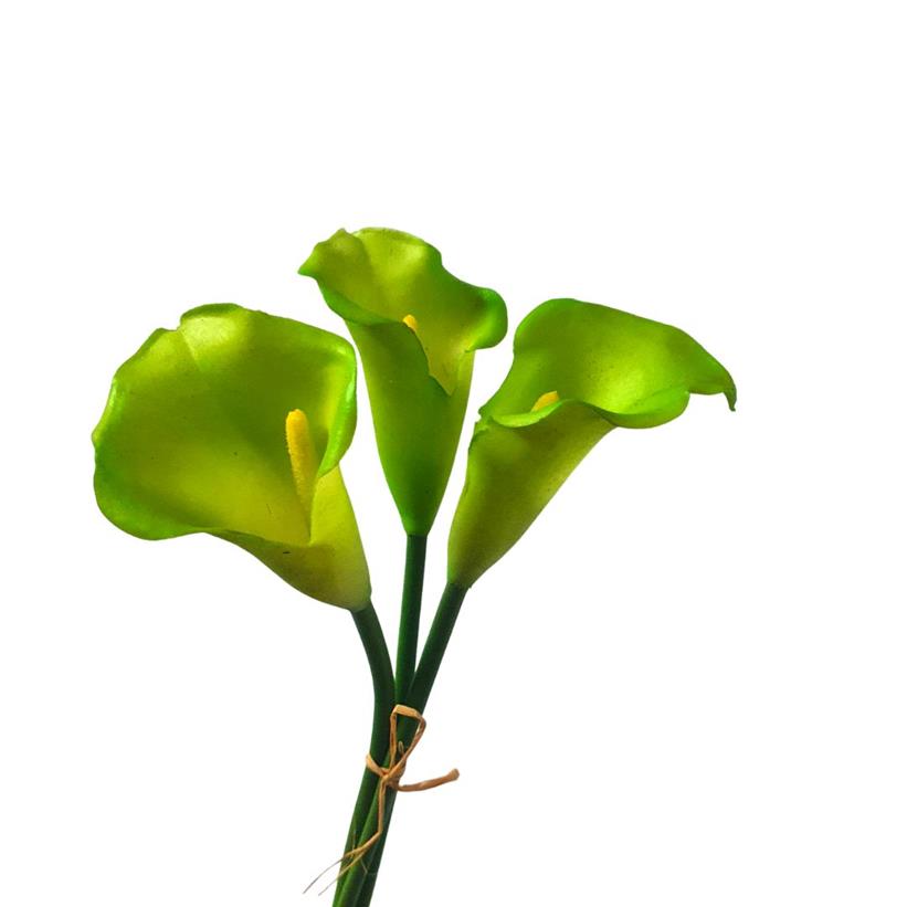 Calla Lily Bunch Lime Green Cm Desflora