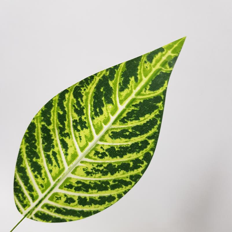 Mini Leaf Zebra Pack x 24 - Image 3
