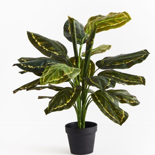 Artificial Calathea Plant 88cm