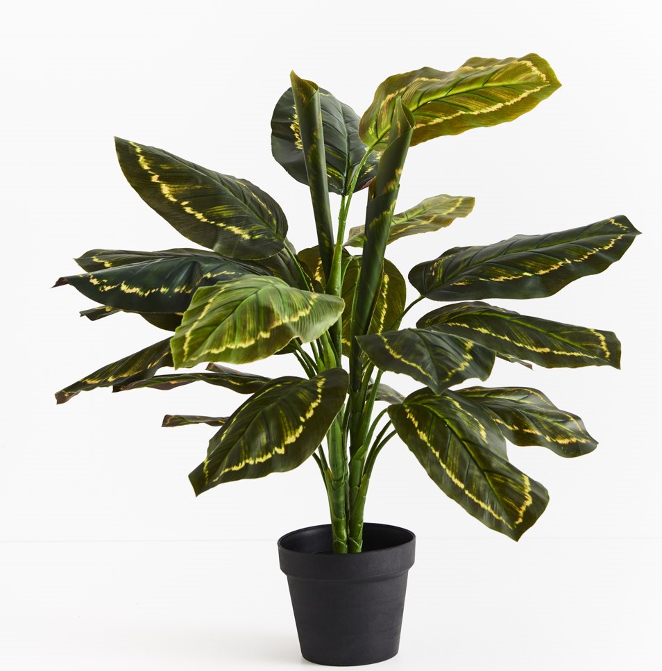 Artificial Calathea Plant 88cm
