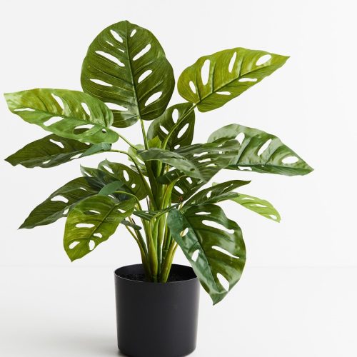 Artificial Monstera Adan Plant 53cm