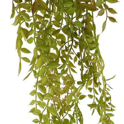 Ruscus Hanging Foliage Green Brown 90cm