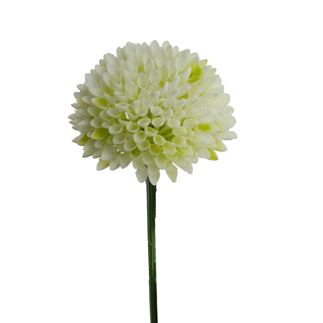 Allium Flower White 30cm - Desflora