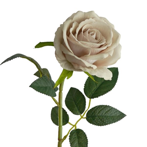 Artificial Roe Artificial Rose Velvet Nude 54cm - Desflora