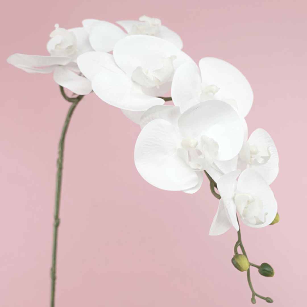 Artificial Phalaenopsis Orchid Nelly White 84cm - Desflora