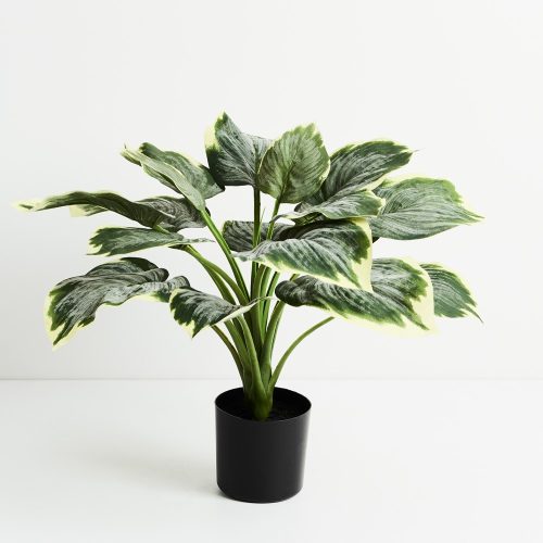 Artificial Hosta Plant Frost 50cm