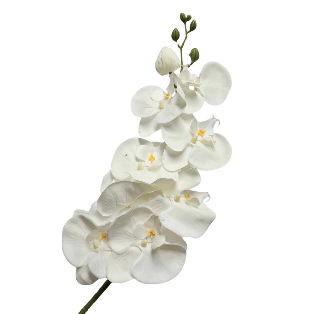 Artificial Phalaenopsis Orchid White 95cm Desflora