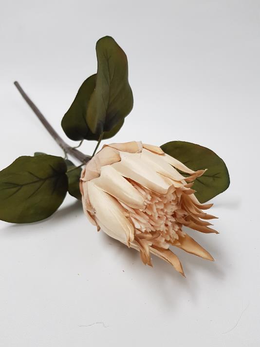 Artificial Dry-Look Protea 68cm Tan