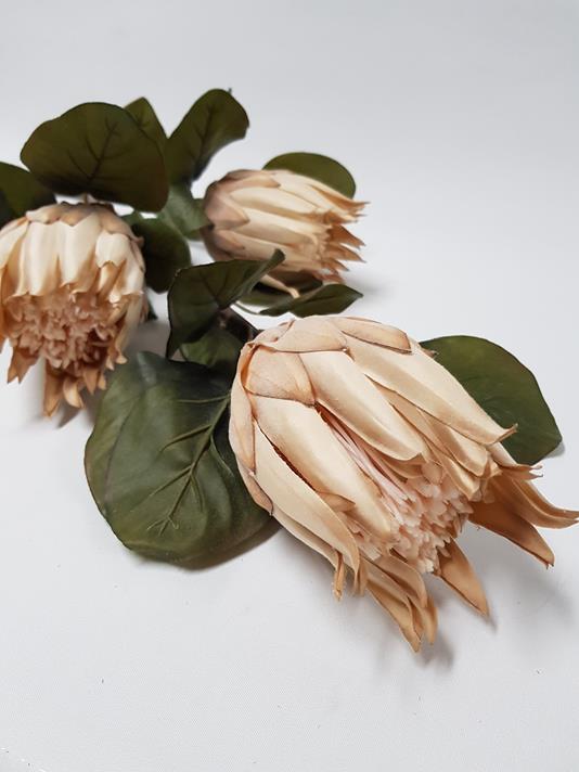 Artificial Dry-Look Protea 68cm Tan - Image 2