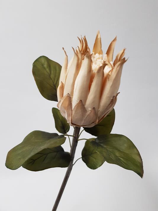 Artificial Dry-Look Protea 68cm Tan - Image 3