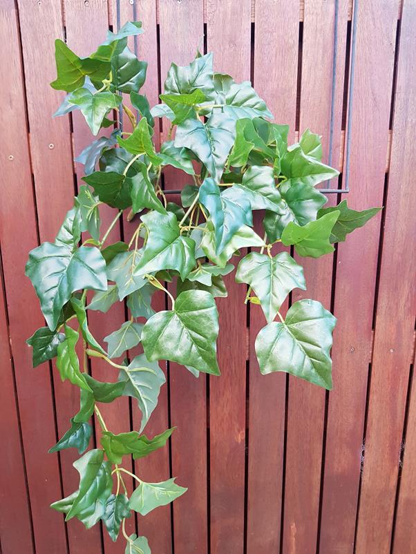 Artificial Ivy Bush Hedera Medium 70cm