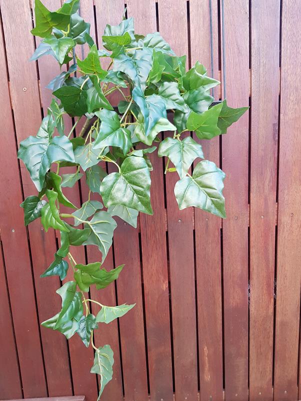 Artificial Ivy Bush Hedera Medium 70cm - Image 2