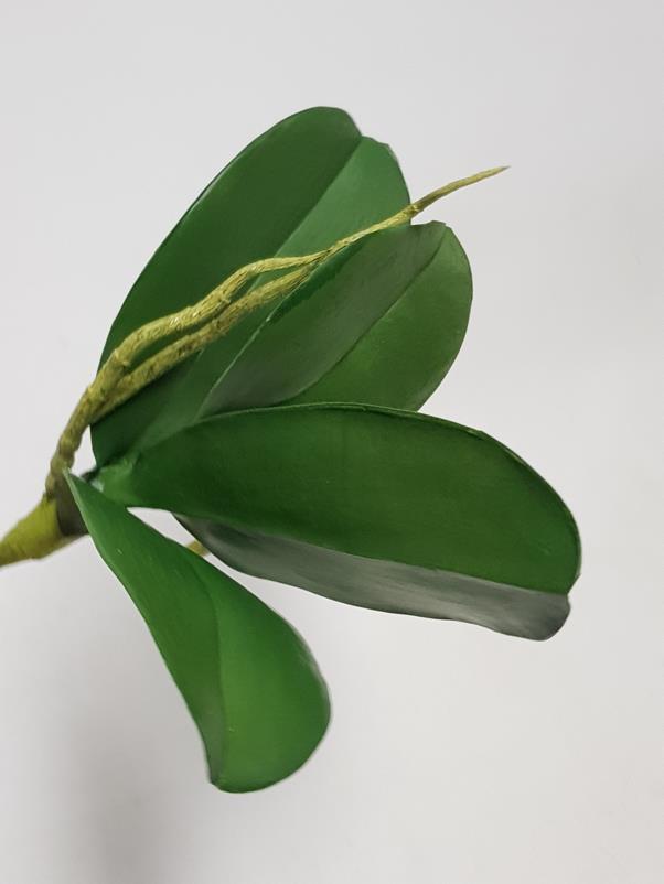 Artificial Phalaenopsis Orchid Leaf 24cm - Image 2