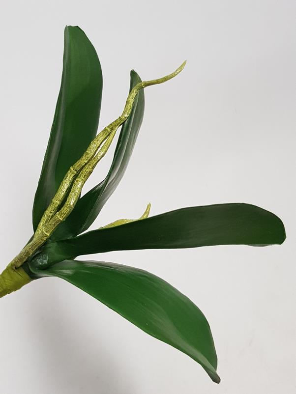 Artificial Phalaenopsis Orchid Leaf 24cm - Image 3