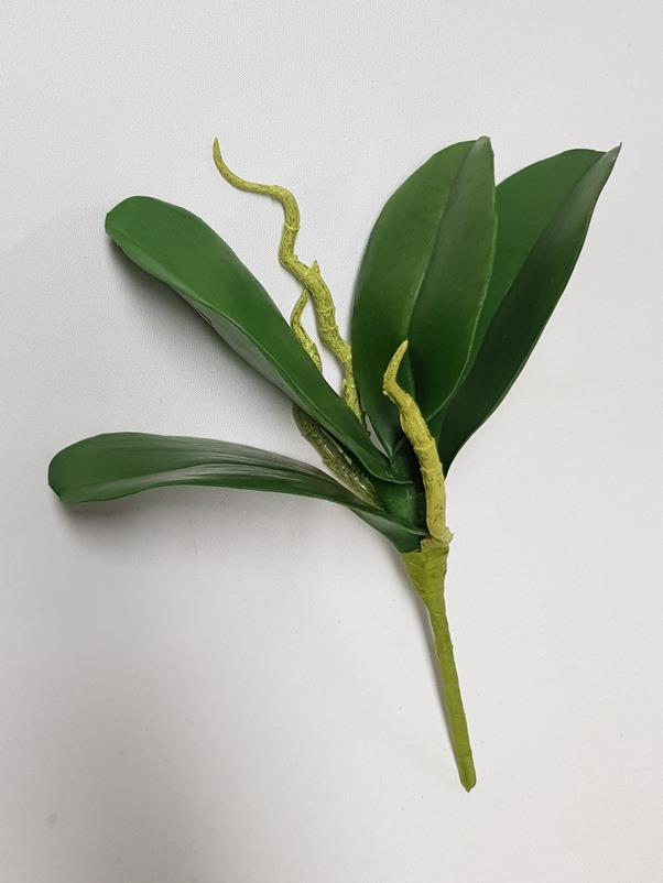 Artificial Phalaenopsis Orchid Leaf 24cm