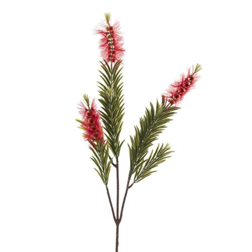 Native Bottle Brush Red 72cm