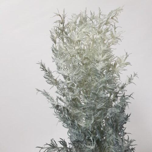 Fluffy Ming Plume Steel Blue 98cm